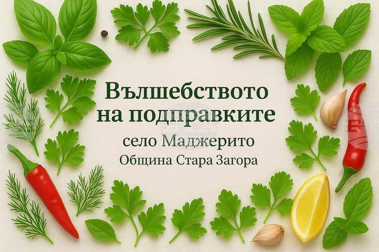 Празникът „Вълшебството на подправките“ в село Маджерито: Традиции и вкусове