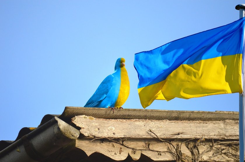 Европа представя алтернативен план за мир в Украйна: Отговор на американската инициатива