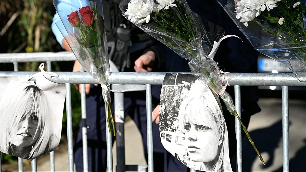 Франция разделена: Трябва ли да се почете наследството на Брижит Бардо?