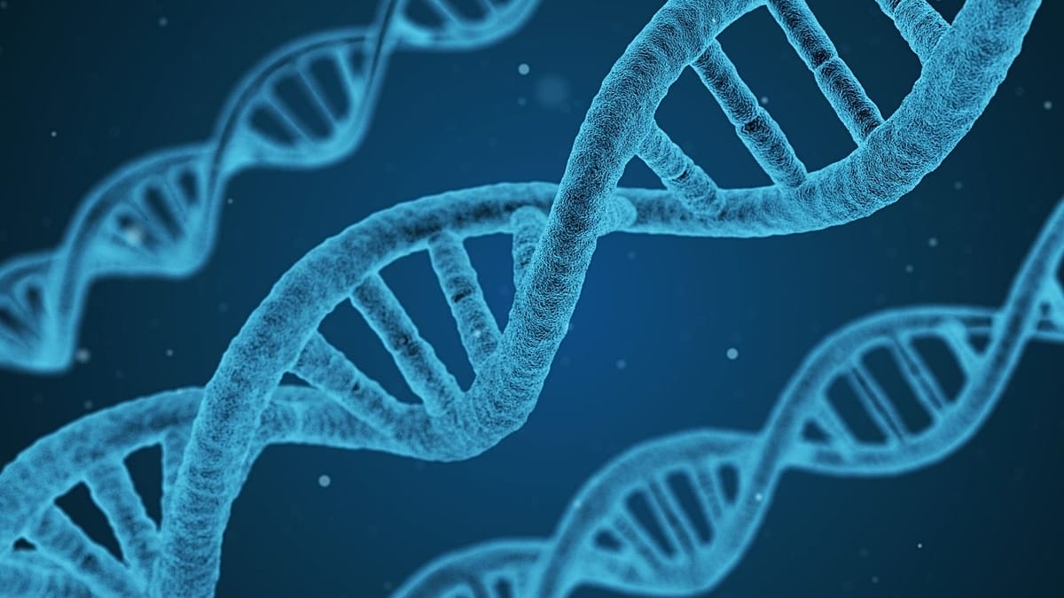 Google представя AlphaGenome: Нов AI инструмент за декодиране на ДНК мутации
