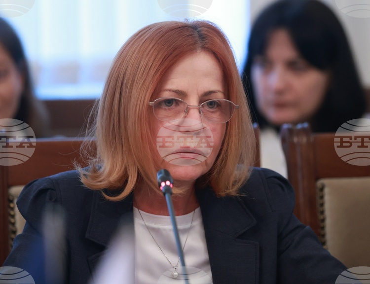Йорданка Фандъкова осъжда нападението над българското посолство в Скопие