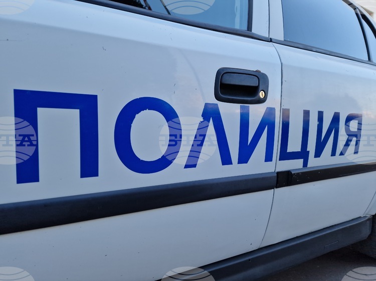 Побой над мъж в Гоце Делчев: Политически и институционален контекст