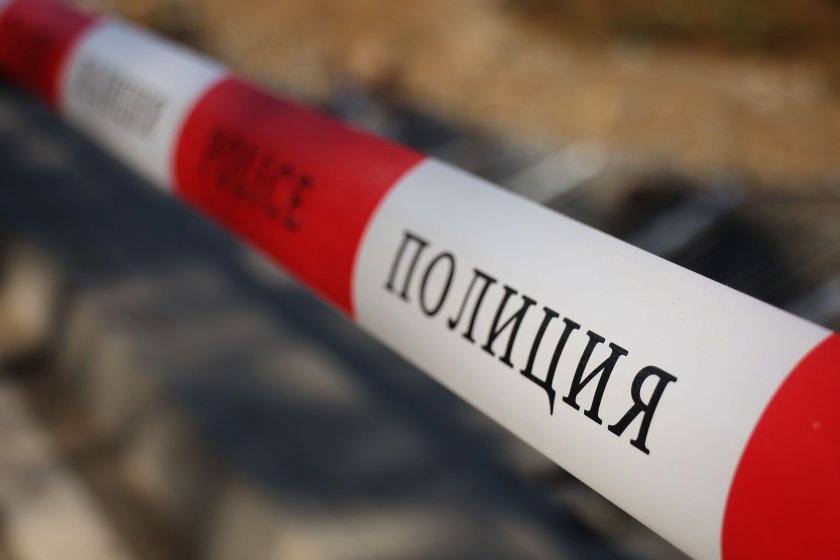 Трагедия на Витоша: Жена загина след падане на дърво върху автомобил