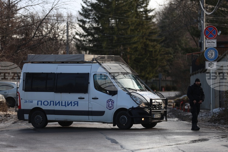 Инцидент на Витоша: Дърво уби жена - кой носи отговорност?