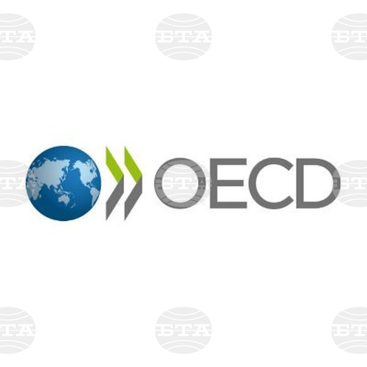 Стефано Скарпета е новият главен икономист на ОИСР: Какво означава това за глобалната икономика?